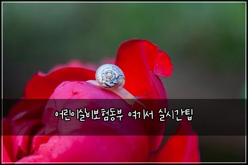 어린이실비보험동부 여기서 실시간팁