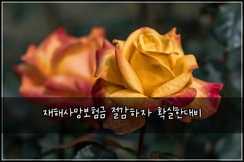 재해사망보험금 절감하자 확실한대비