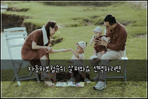 ์๋์ฐจ๋ณดํ์์ ์ดํด๋ด์ ์ ํํ๋ ค๋ฉด
