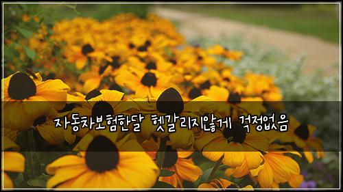 자동차보험한달 헷갈리지않게 걱정없음