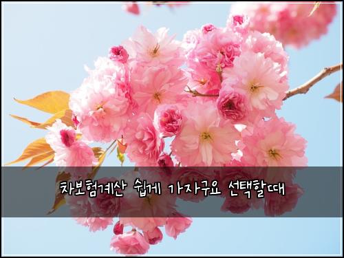 차보험계산 쉽게 가자구요 선택할때