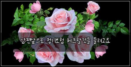남편앞으로 정기보험 체크할것들  들려고요