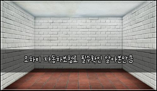 ๋ชจํ๋น ์๋์ฐจ๋ณดํ๋ฃ ํ์ํ์ธ ์์๋ณธ๋งํผ