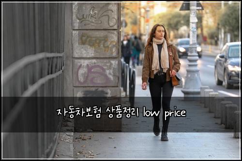 자동차보험 상품정리  low price