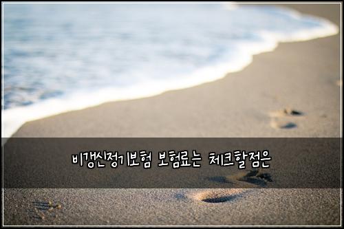 비갱신정기보험 보험료는 체크할점은