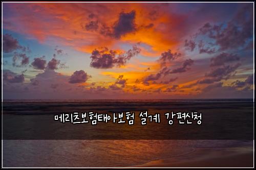 메리츠보험태아보험 설계 강편신청
