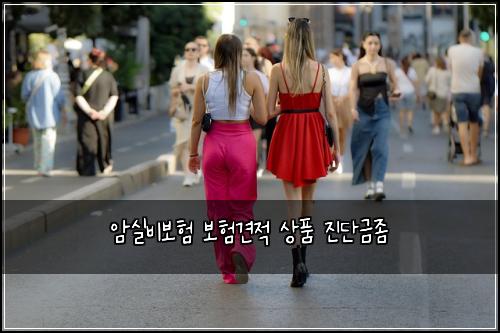 암실비보험 보험견적  상품 진단금좀