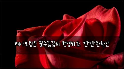 태아보험은 필수꼼꼼히 현명하죠 깐깐한확인