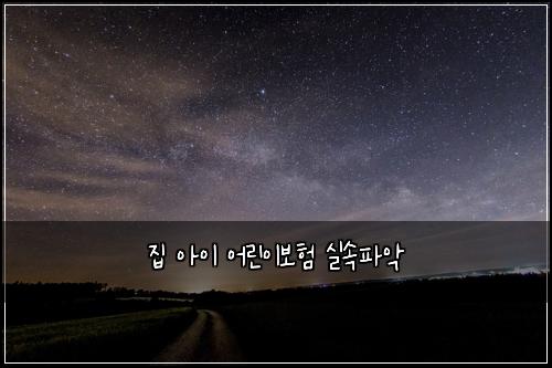 집 아이 어린이보험 실속파악 
