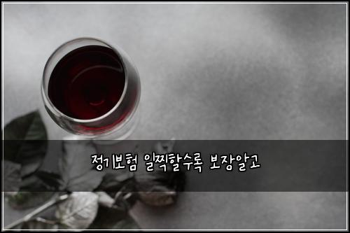 정기보험 일찍할수록  보장알고