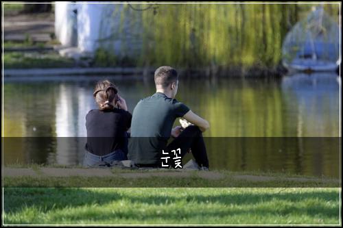 눈꽃