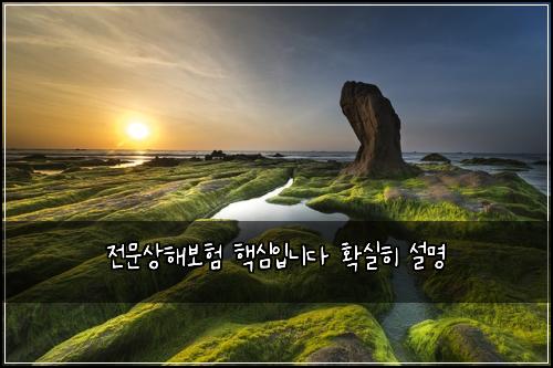 전문상해보험 핵심입니다  확실히 설명