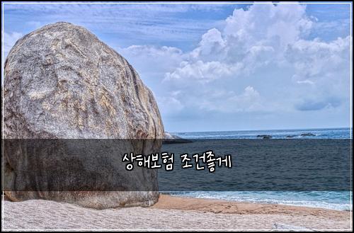 상해보험 조건좋게  