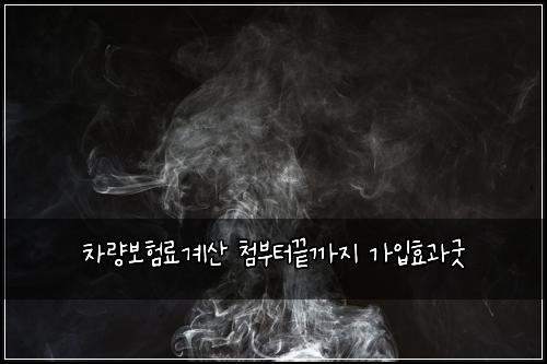 차량보험료계산 첨부터끝까지 가입효과굿