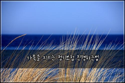 가족을 지키는 정기보험 진행하는법 