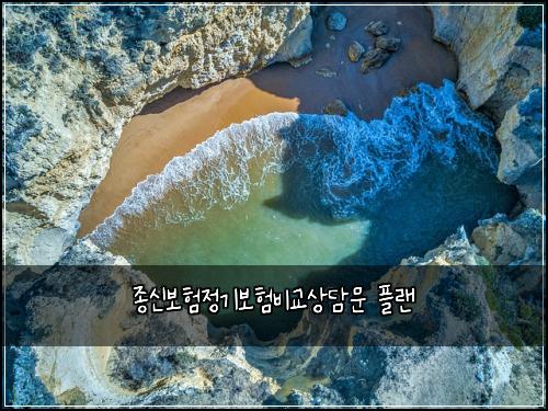 종신보험정기보험비교상담문 플랜