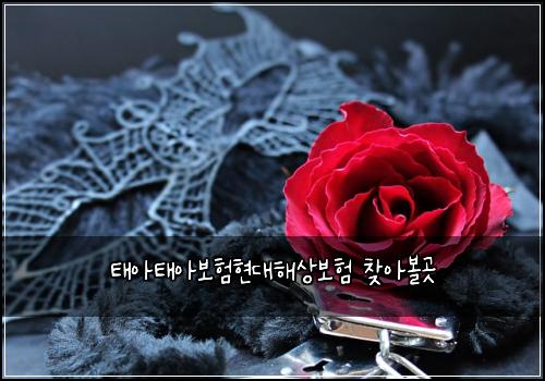 ํ์ํ์๋ณดํํ๋ํด์๋ณดํ ์ฐพ์๋ณผ๊ณณ