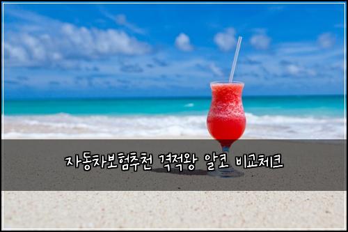 자동차보험추천 격적왕 알코 비교체크