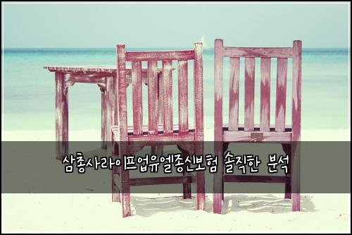 삼총사라이프업유엘종신보험 솔직한 분석