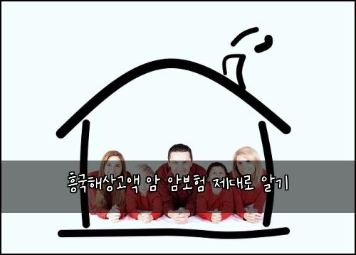 흥국해상고액 암 암보험 제대로 알기