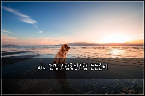 aia 건강보험종신보험 든든준비