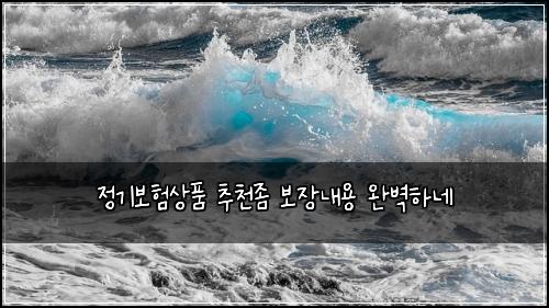 정기보험상품 추천좀 보장내용 완벽하네