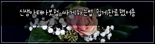 신생아태아보험 싸게하는법  쉽게완료했어용