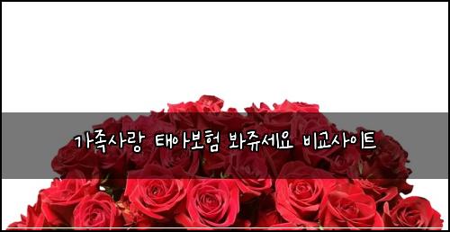 κ°μ‘±μ¬λ νμ보ν λ΄μ₯¬μΈμ λΉκ΅μ¬μ΄νΈ