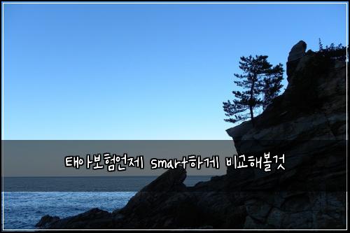 태아보험언제 smart하게 비교해볼것