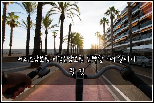 메리츠암보험 비갱신암보험 선택할 때 알아야 할 것