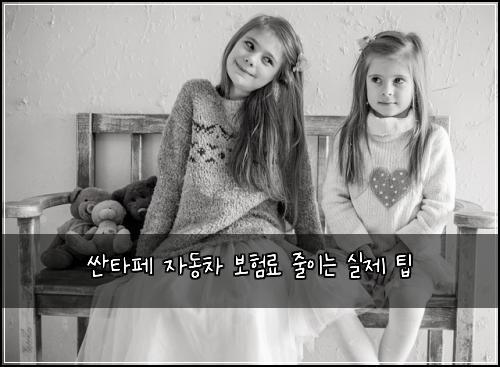 싼타페 자동차 보험료 줄이는 실제 팁