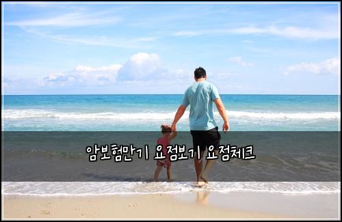 암보험만기 요점보기 요점체크