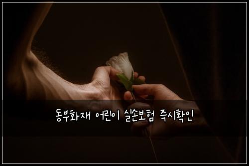 동부화재 어린이 실손보험 즉시확인 