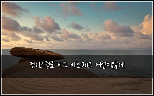 정기보험료 비교 바로체크 어렵지않게