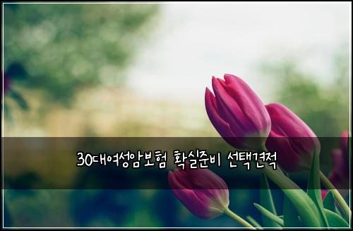 30대여성암보험 확실준비  선택견적