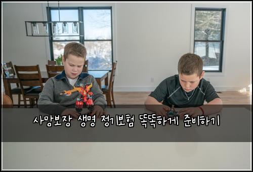 사망보장 생명 정기보험 똑똑하게 준비하기