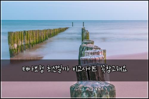 태아보험 최선일까  비교사이트 꼭참고해요