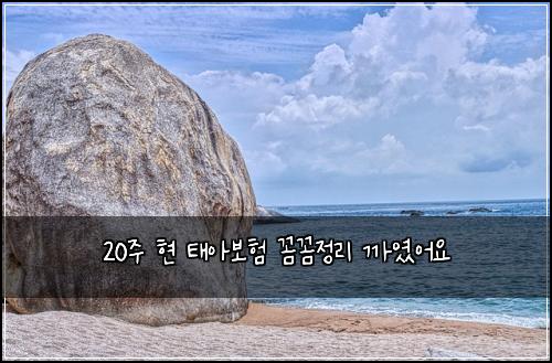 20주 현 태아보험 꼼꼼정리  까였어요
