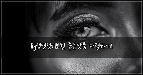 lig생명정기보험 좋은상품  저렴하게