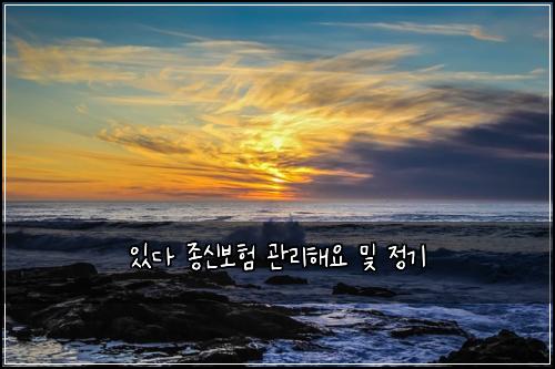 있다 종신보험 관리해요  및 정기