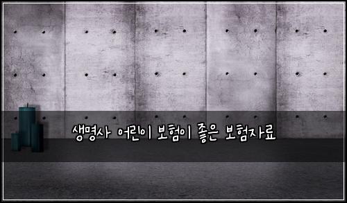 생명사 어린이 보험이 좋은 보험자료