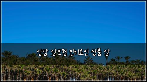 상담 암보험 인기요인  상품 암