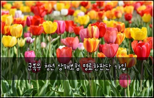 군복무 청년 상해보험 명료한판단  가입