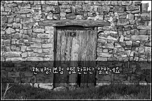 현대정기보험 명료한판단  알맞네요