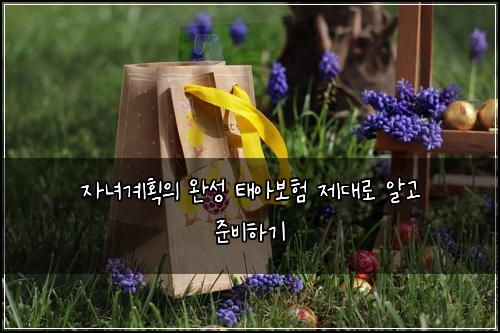 자녀계획의 완성 태아보험 제대로 알고 준비하기