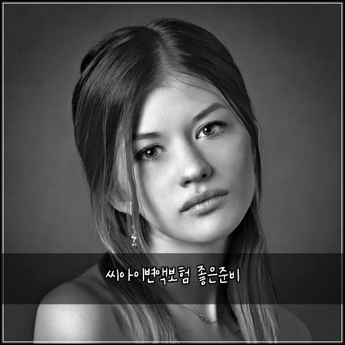 씨아이변액보험 좋은준비 