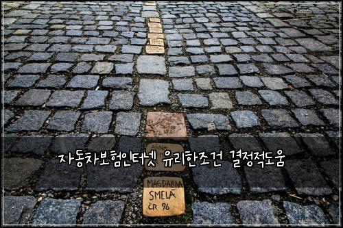 자동차보험인터넷 유리한조건 결정적도움