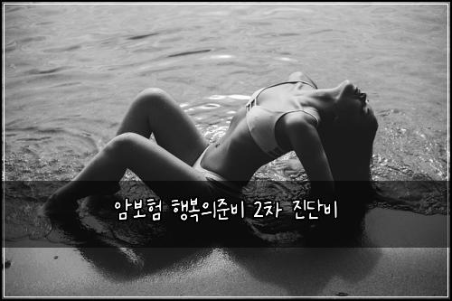 암보험 행복의준비  2차 진단비