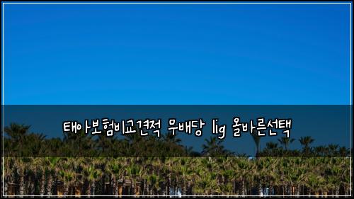 태아보험비교견적 무배당 lig 올바른선택