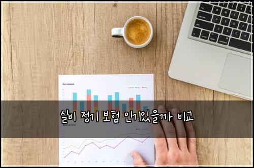 실비 정기 보험 인기있을까  비교